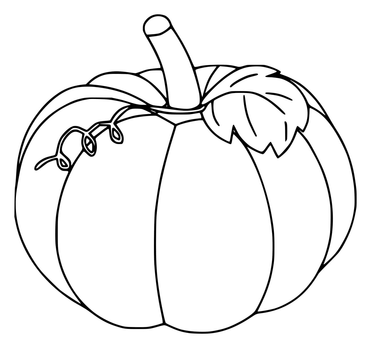 Quả Bí Ngô Lớn Với Lá