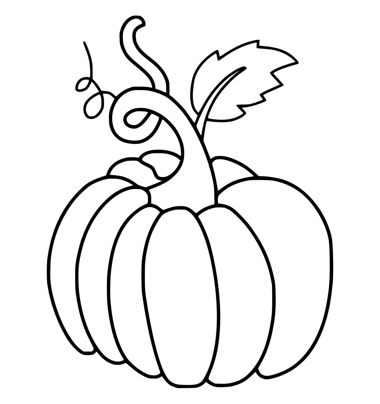 Quả Bí Ngô Tốt