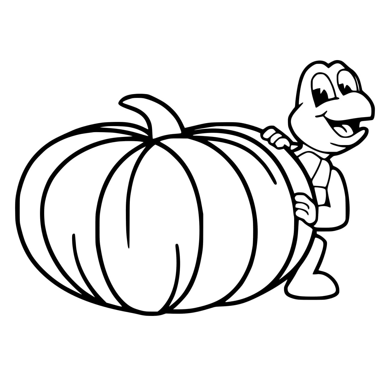 Quả Bí Ngô Và Con Rùa