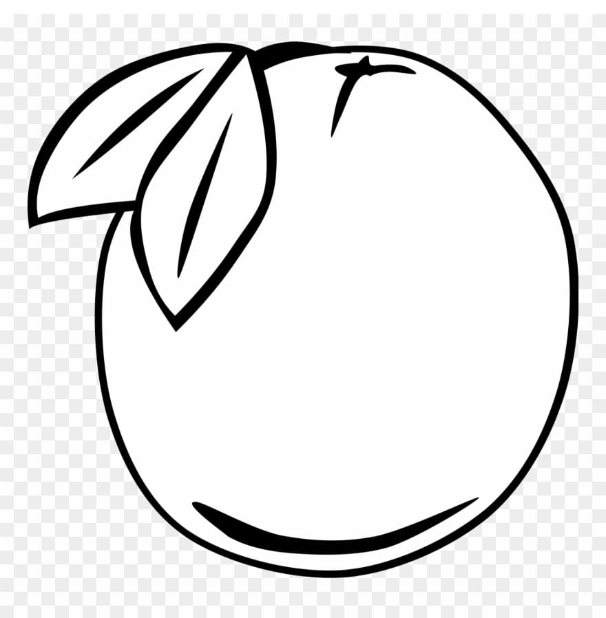 Quả Bưởi Đơn Giản