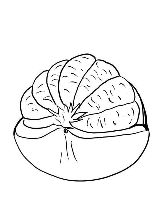 Tô Màu Quả Bưởi