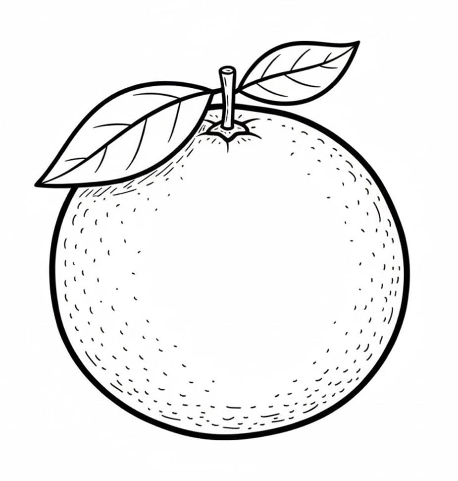 Tô Màu Quả Cam