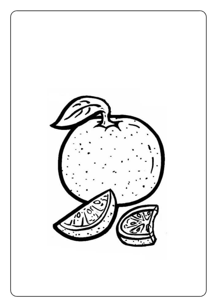 Quả Cam và Hai Lát Cam