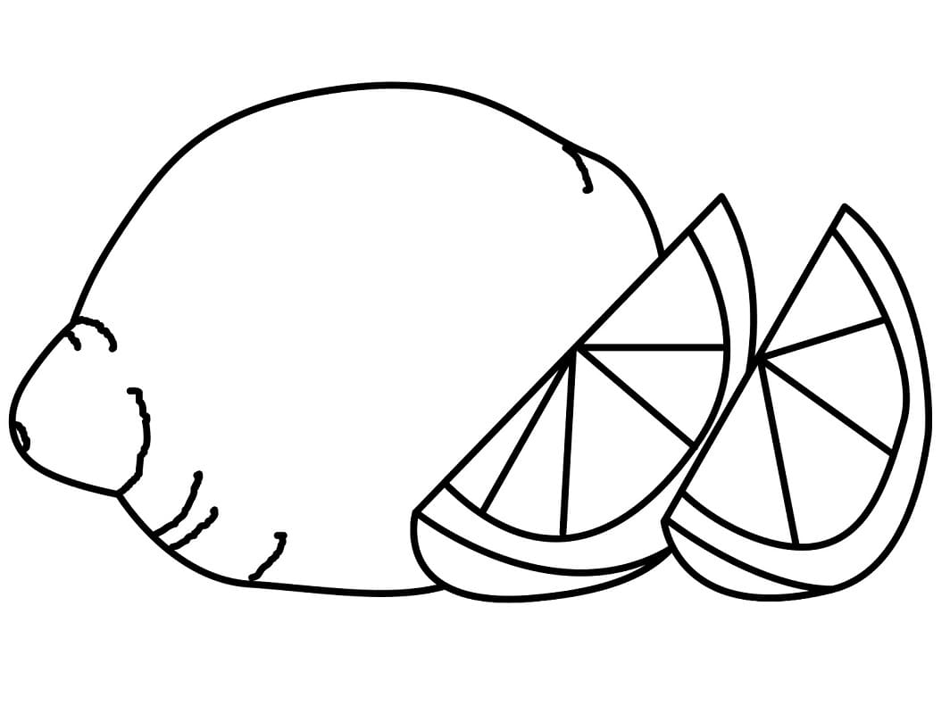 Quả Chanh và Hai Miếng Chanh