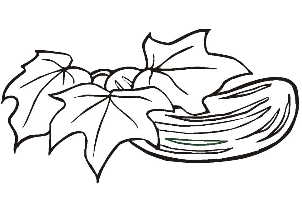 Quả Dưa Chuột 1