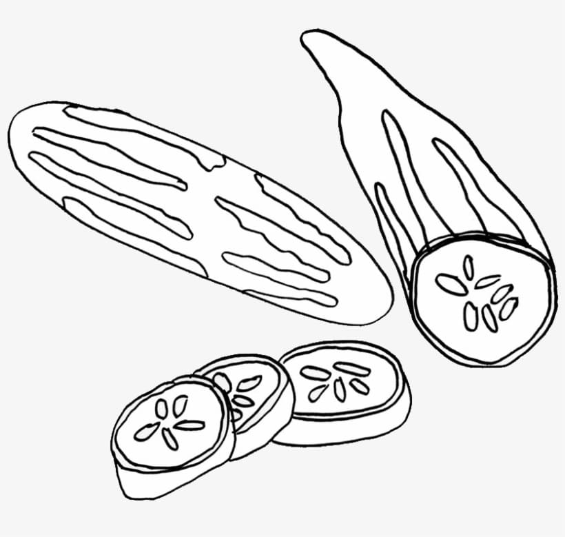 Quả Dưa Chuột 11