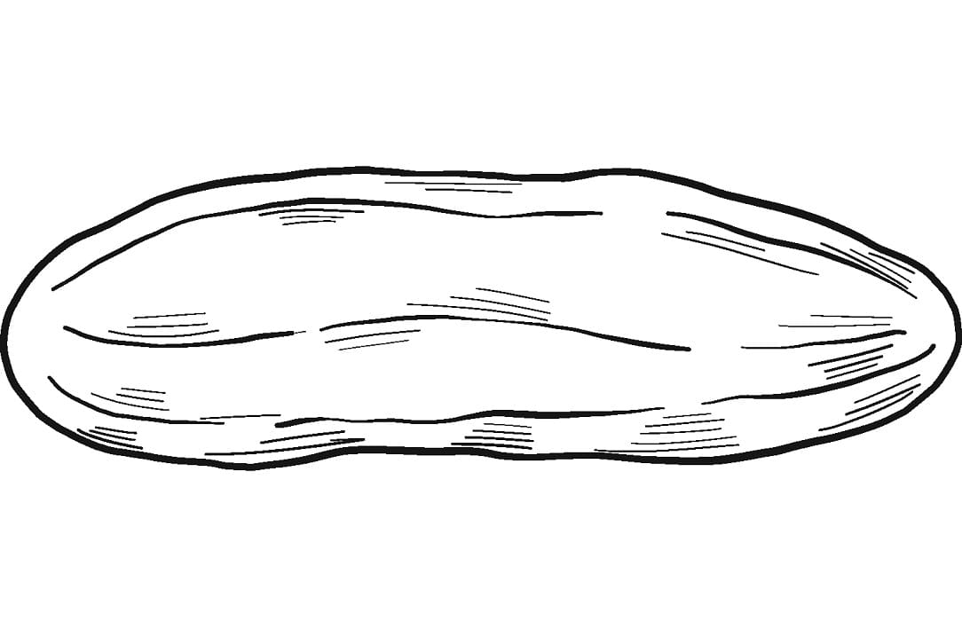 Quả Dưa Chuột 5