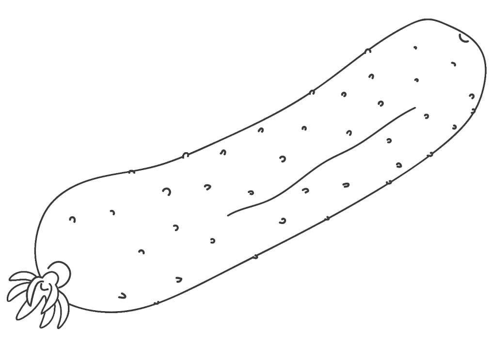 Quả Dưa Chuột 6