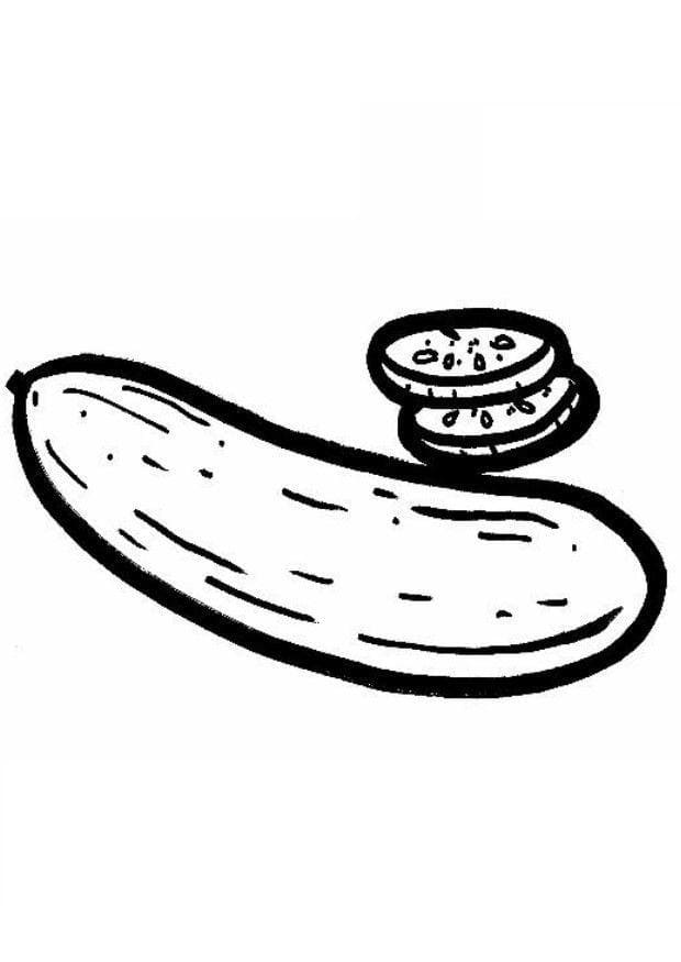 Quả Dưa Chuột 8