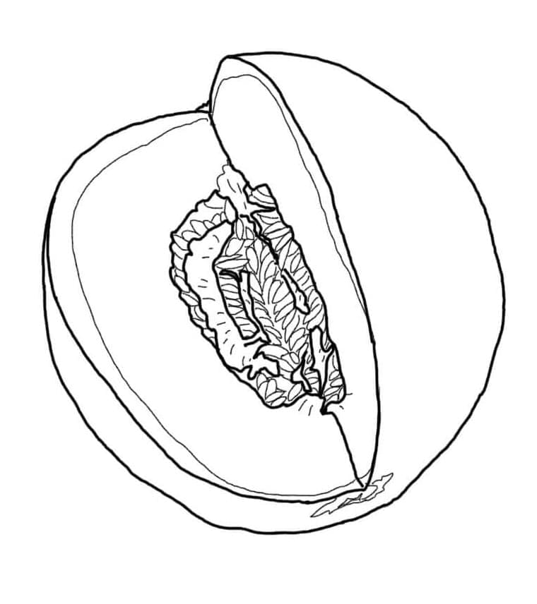 Quả Dưa Gang Lớn