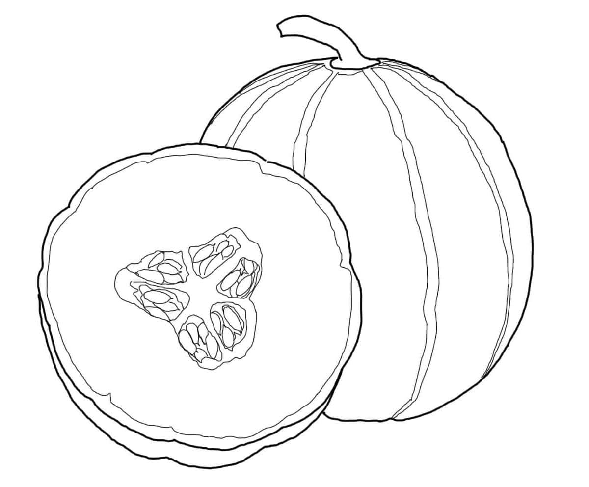 Quả Dưa Gang Mùa Hè