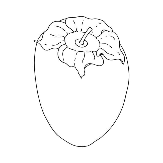 Quả Hồng Đơn Giản