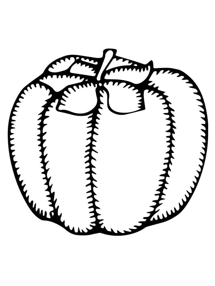 Quả Hồng Mùa Thu