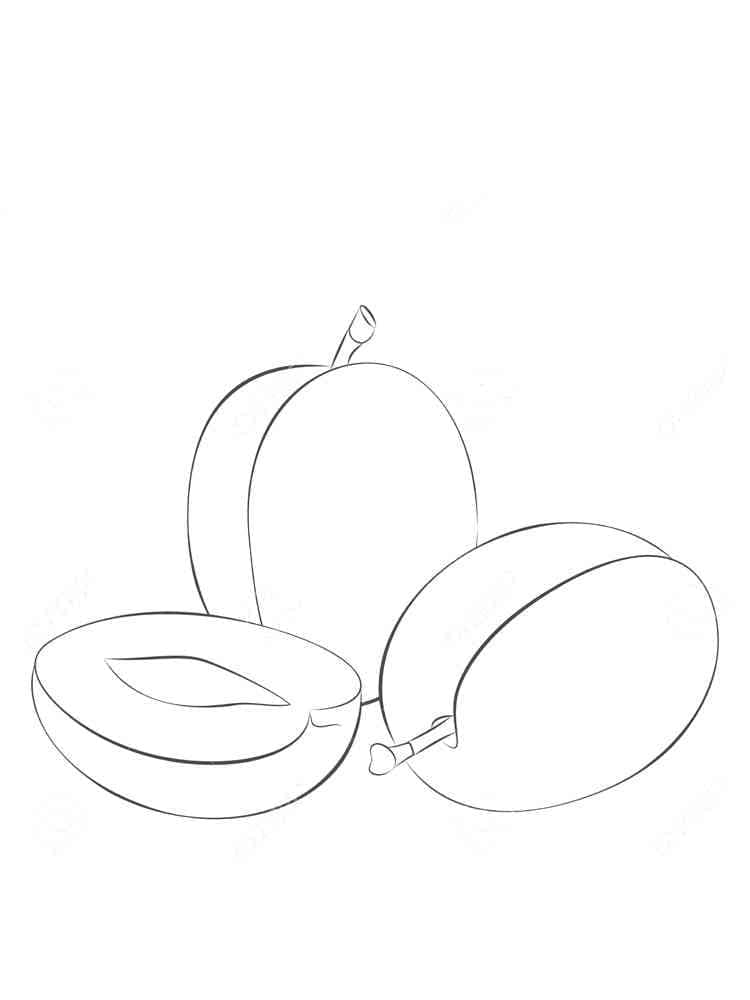 Quả Mận Mọng Nước