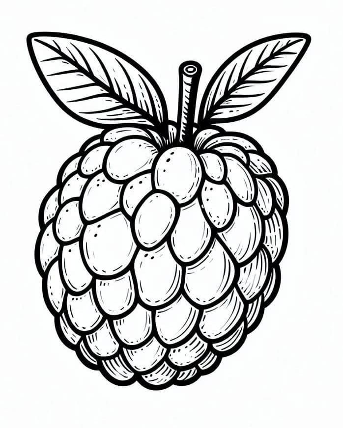 Quả Mãng Cầu Đẹp