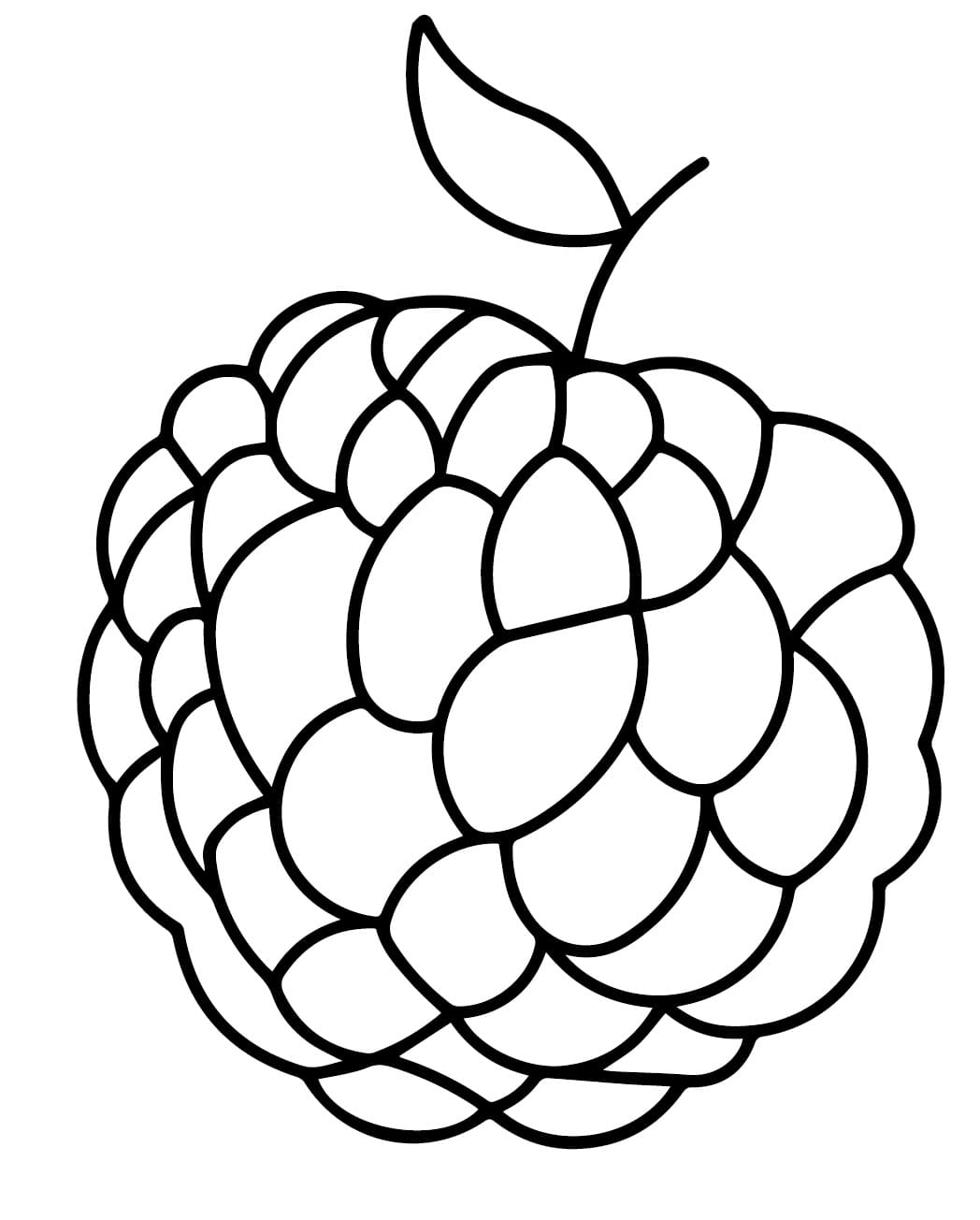 Tô Màu Quả Mãng Cầu