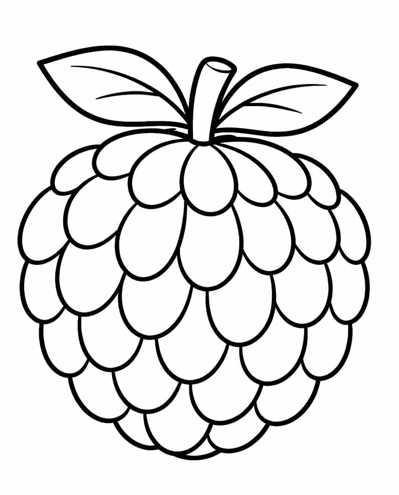 Quả Na Đơn Giản