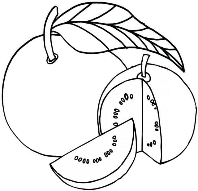 Quả Ổi Đơn Giản Nhất