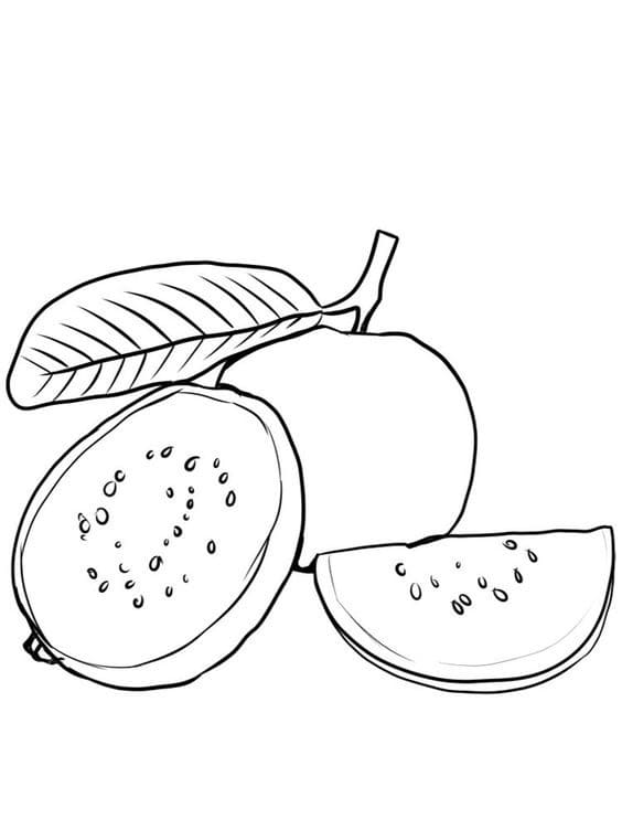 Quả Ổi Trái Cây