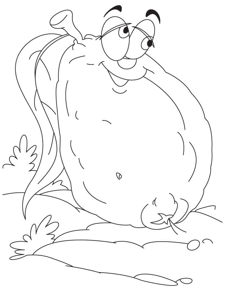 Quả Ổi Vui Nhộn