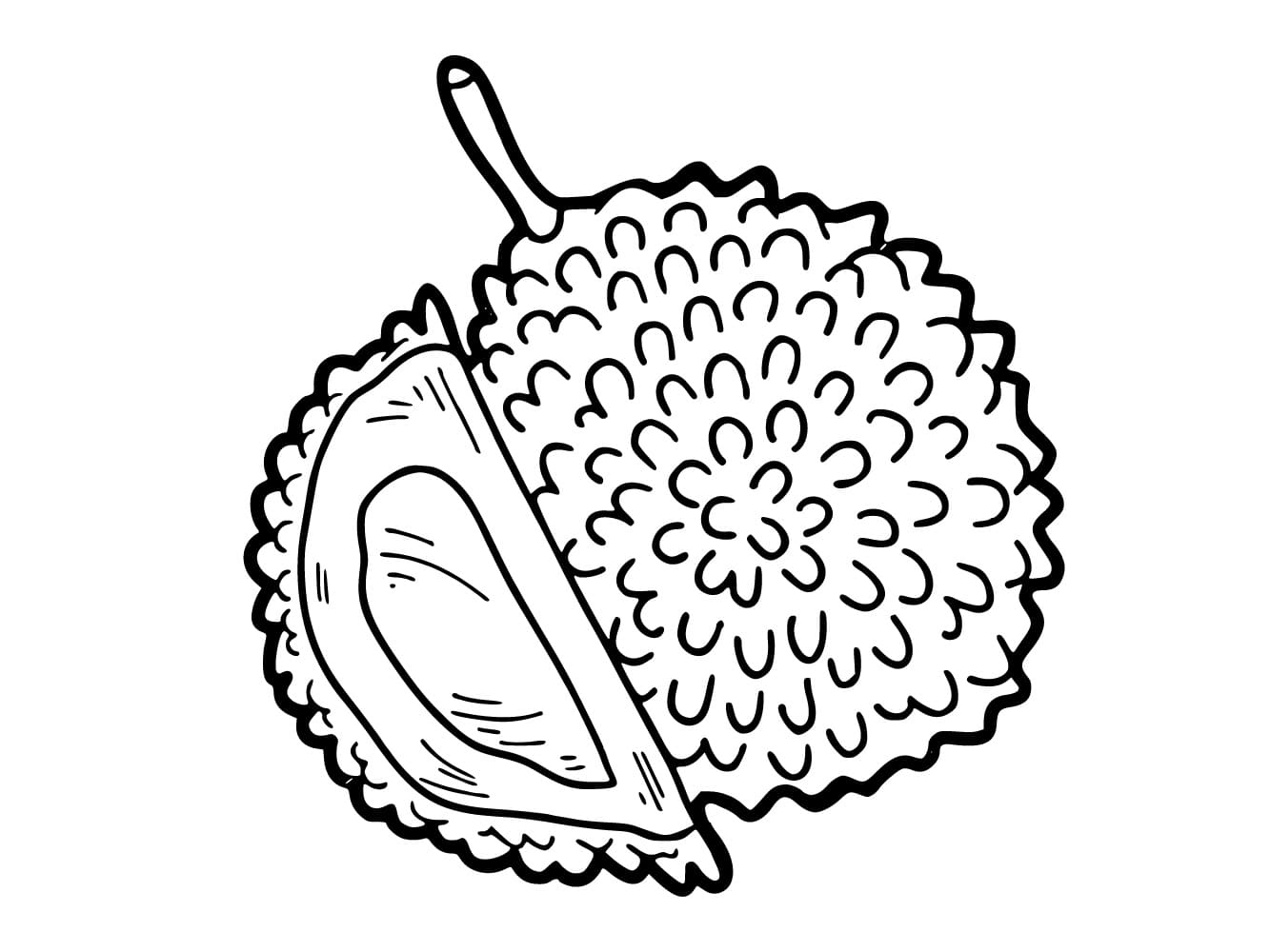 Quả Sầu Riêng Đơn Giản