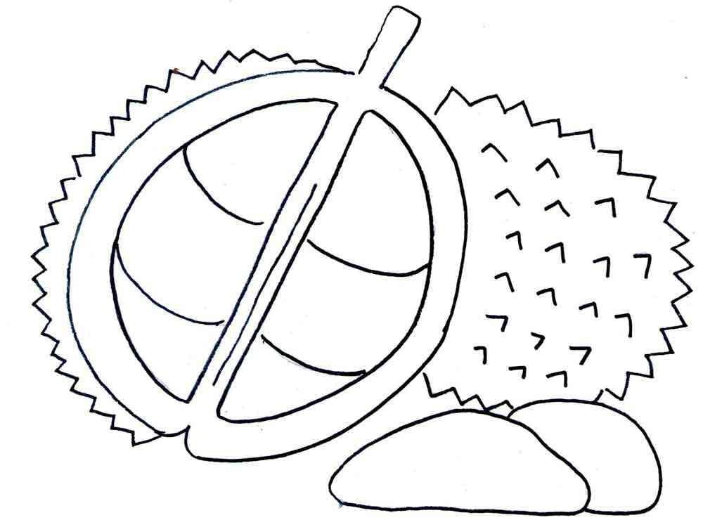 Quả Sầu Riêng Hấp Dẫn