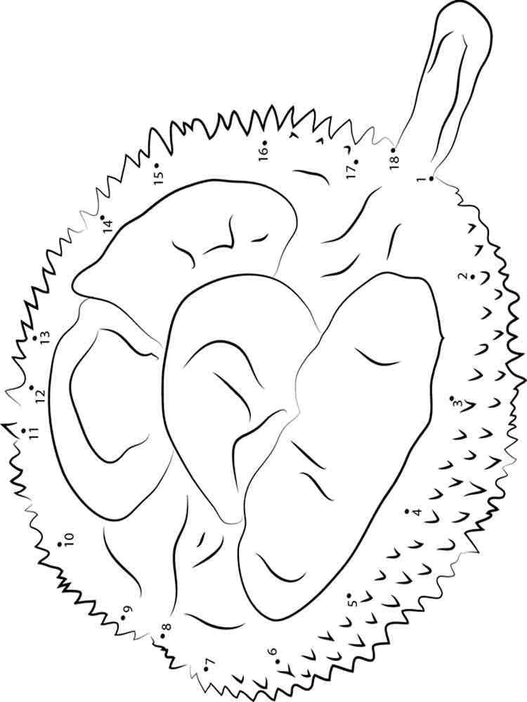 Quả Sầu Riêng Ngọt Bùi