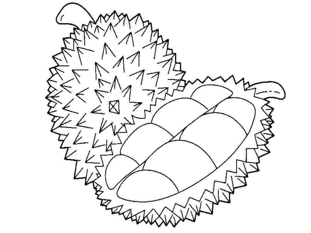 Quả Sầu Riêng Thơm Ngon