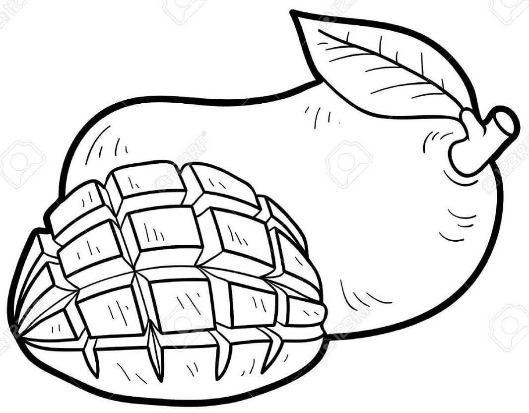 Quả Xoài và Miếng Xoài