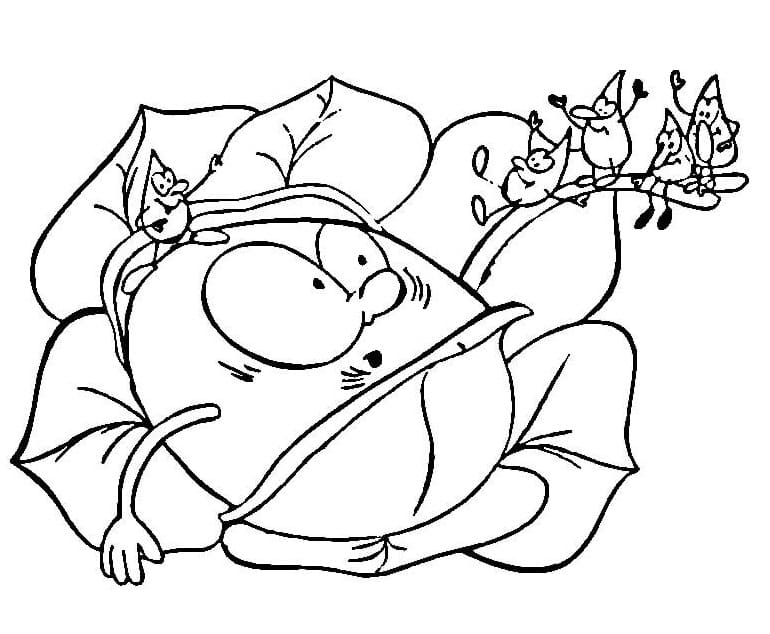 Rau Bắp Cải Cute