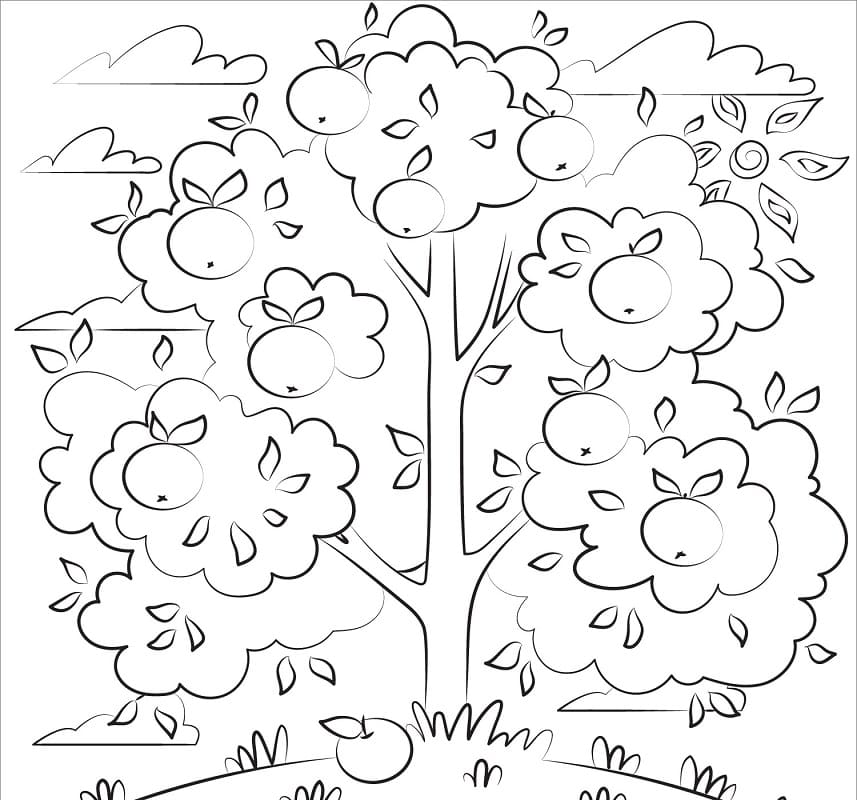 Tập Tô Màu Cây Táo