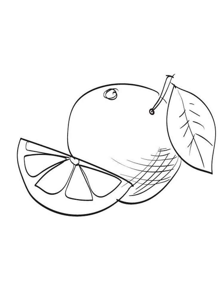 Tập Tô Quả Bưởi