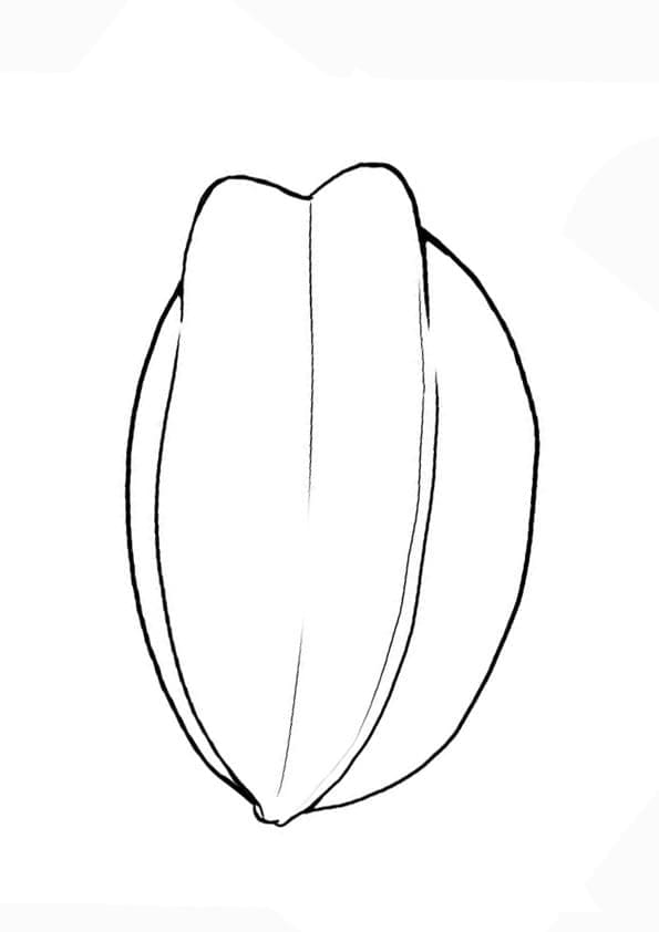 Tập Vẽ Hình Quả Khế Đơn Giản