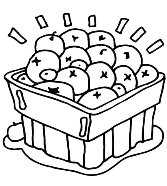 Thùng Việt Quất