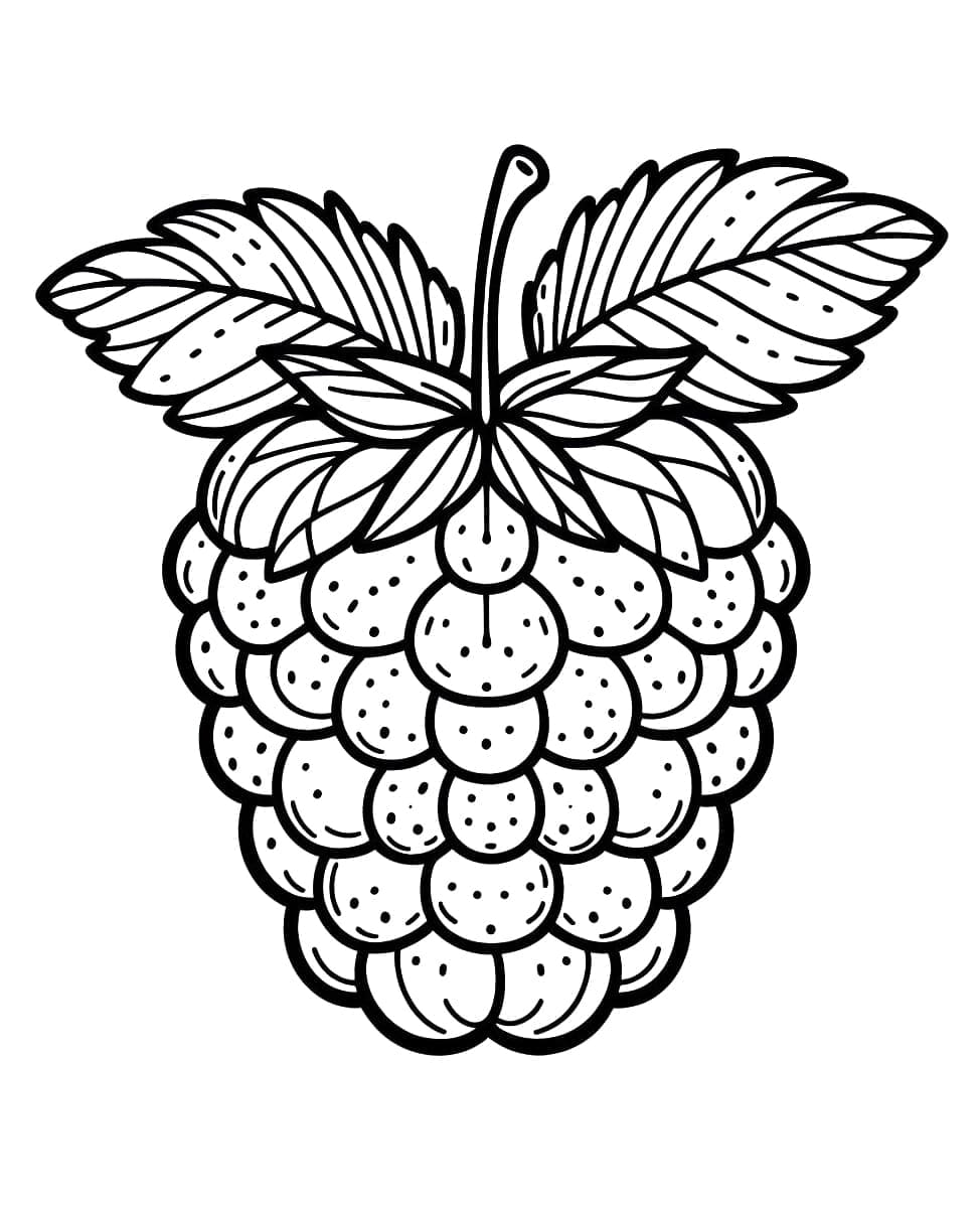 Trái Mâm Xôi Nhỏ