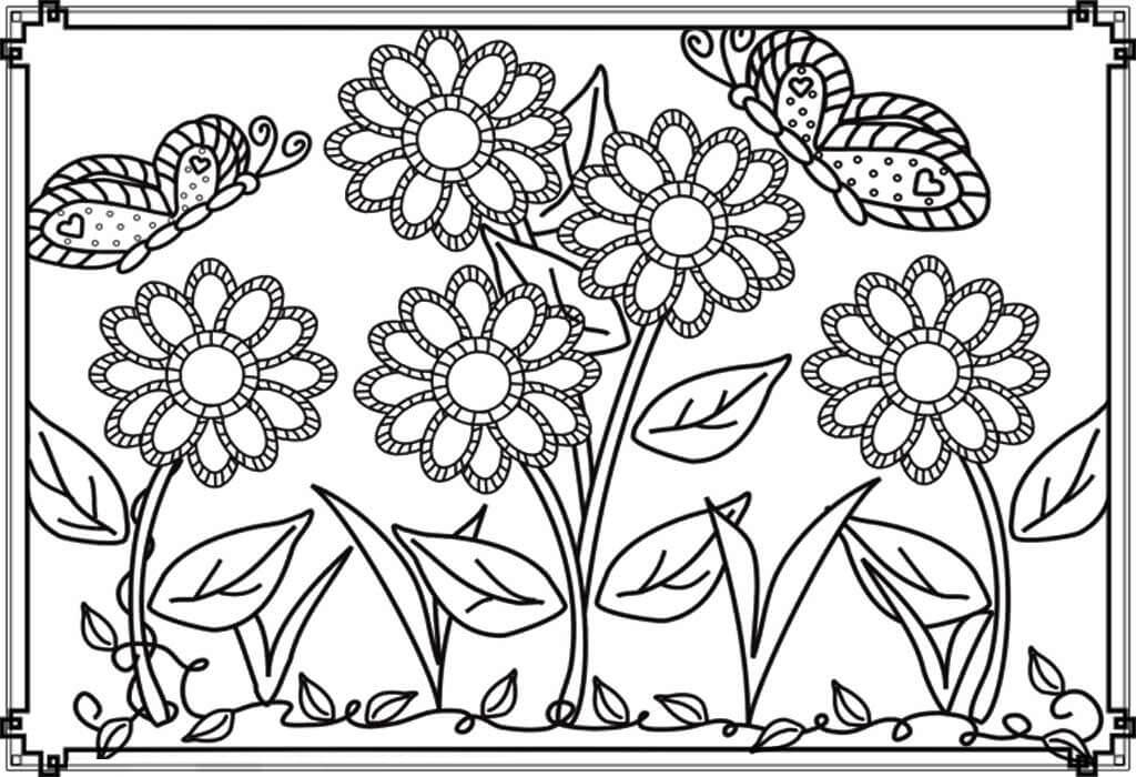 Vườn Hoa và Bướm