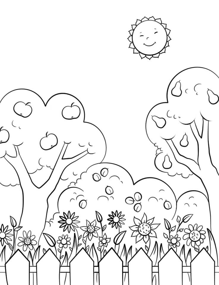 Vườn Hoa và Hàng Rào