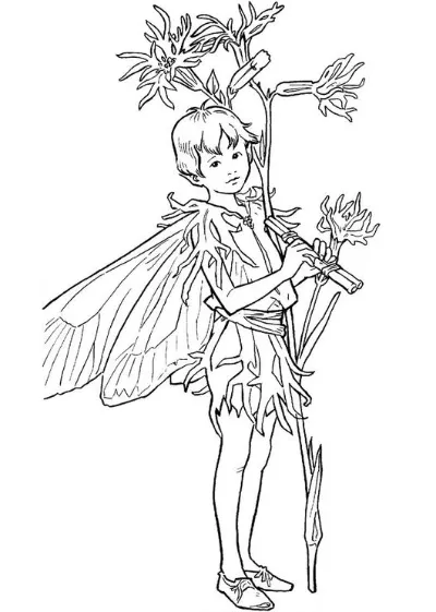 cậu bé thần tiên với cây sáo