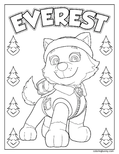 Trang Tô Màu Everest