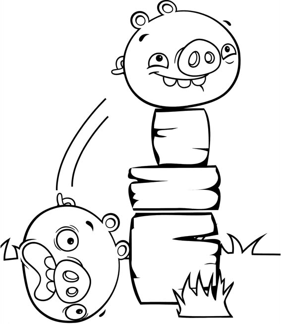 heo trong angry birds