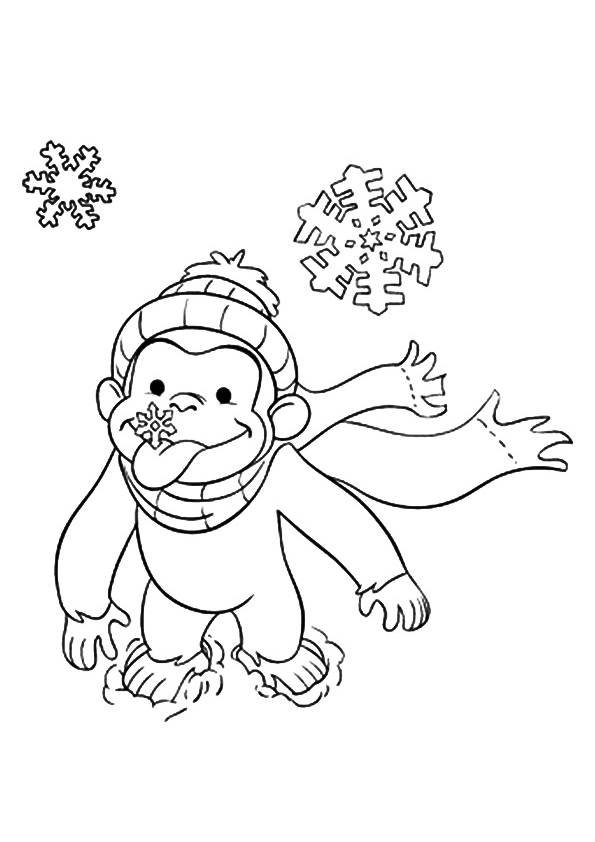 khỉ george ngoài trời mùa đông