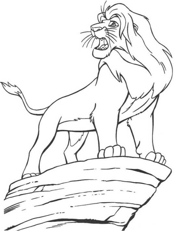 mufasa đứng trên tảng đá