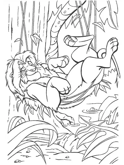 simba đang nằm ngủ trên võng