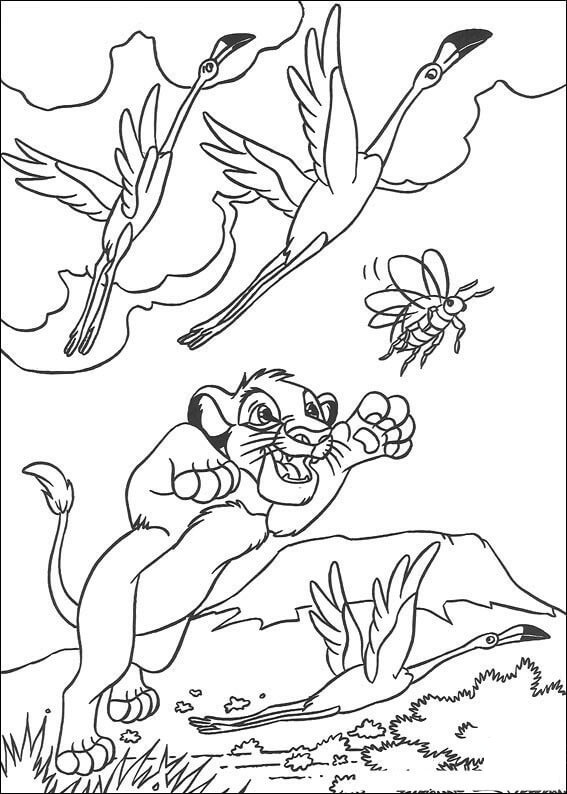 simba đuổi bắt con bọ