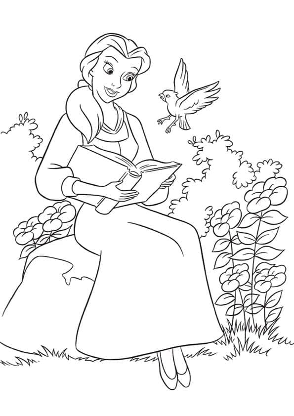 Belle Vui Vẻ