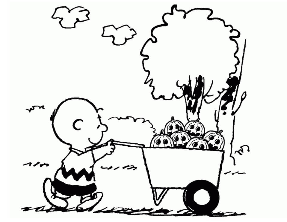 Charlie Brown và Xe Đẩy Bí Ngô