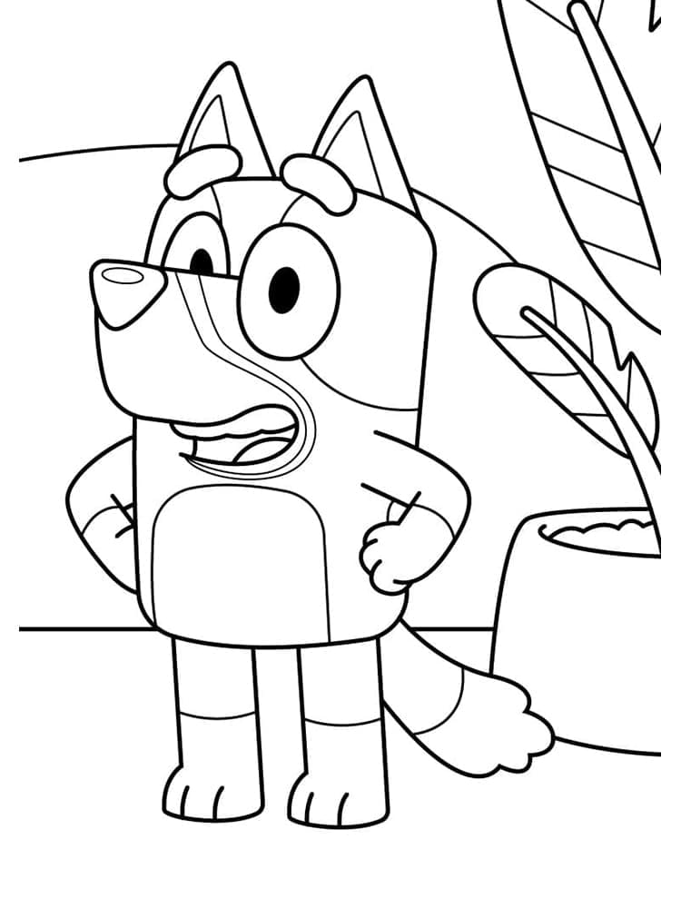 Chú Chó Bluey