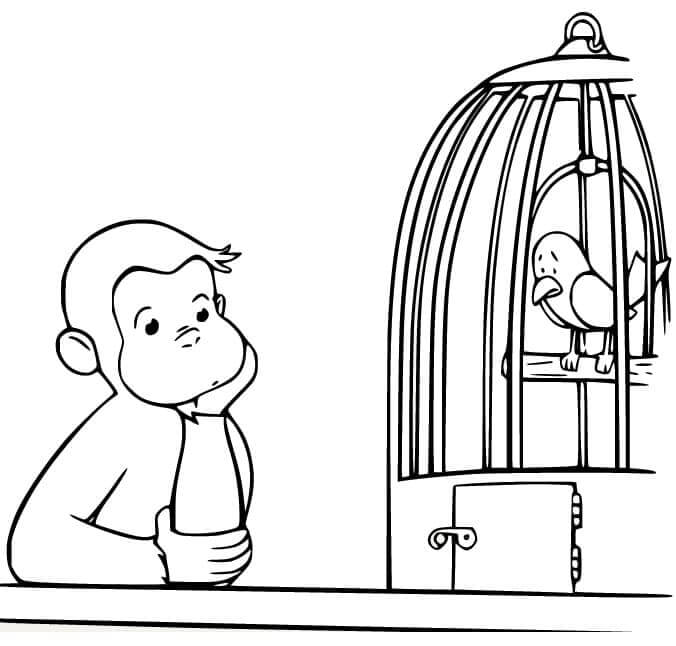 Curious George and the Sad Bird