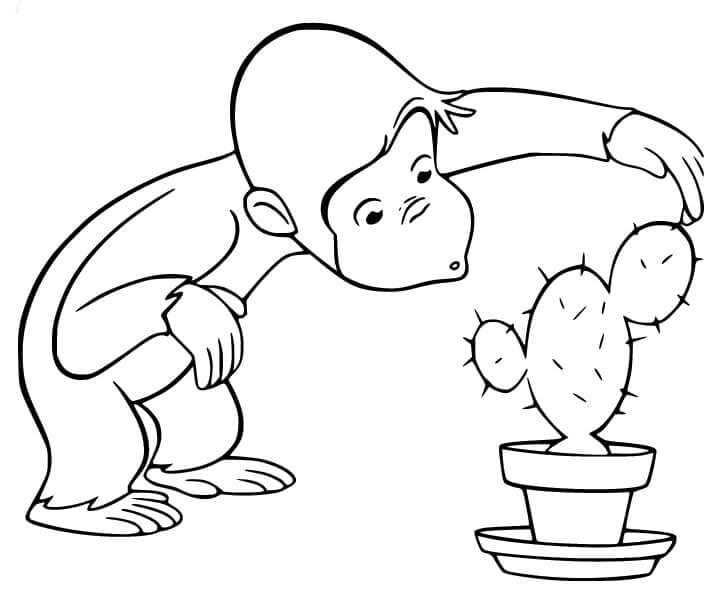 Curious George with a Cactus