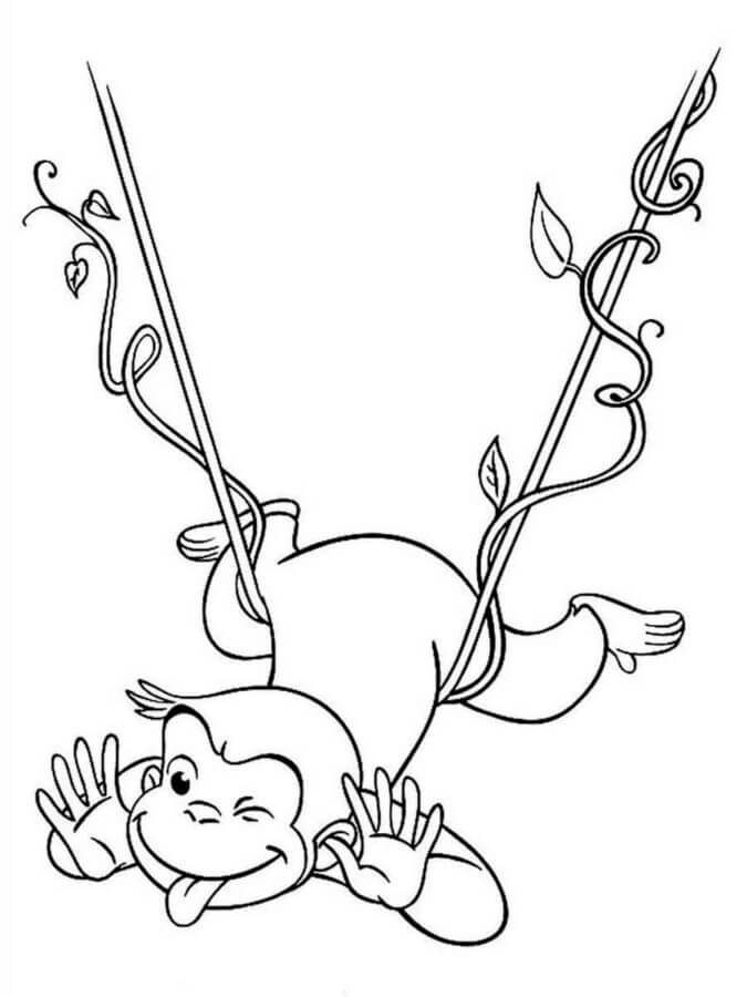 Funny Curious George
